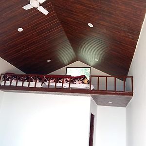 Family King Suite